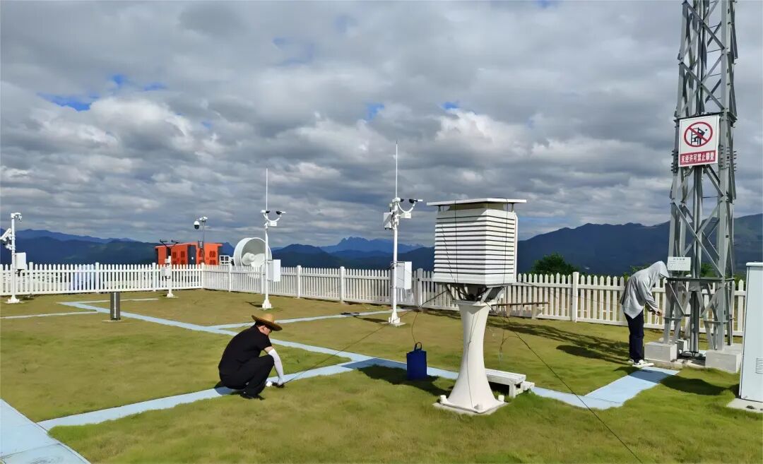 嚴慎細實，云霄輸電業務全力防抗臺風“樺加沙”