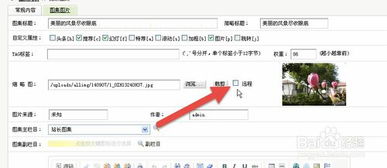 織夢(mèng)dedecms系統(tǒng)主頁篇之幻燈flash圖片顯示